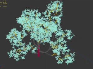 huashan - plant - tree 08 3D Model