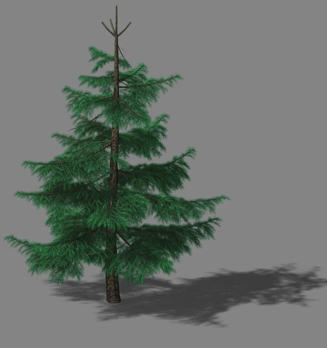 huashan - plants - pine 01 3D Model .c4d .max .obj .3ds .fbx .stl .blend 