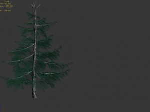 huashan - plants - pine 01 3D 모델