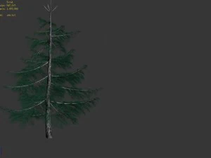 huashan - plants - pine 01 3D Model