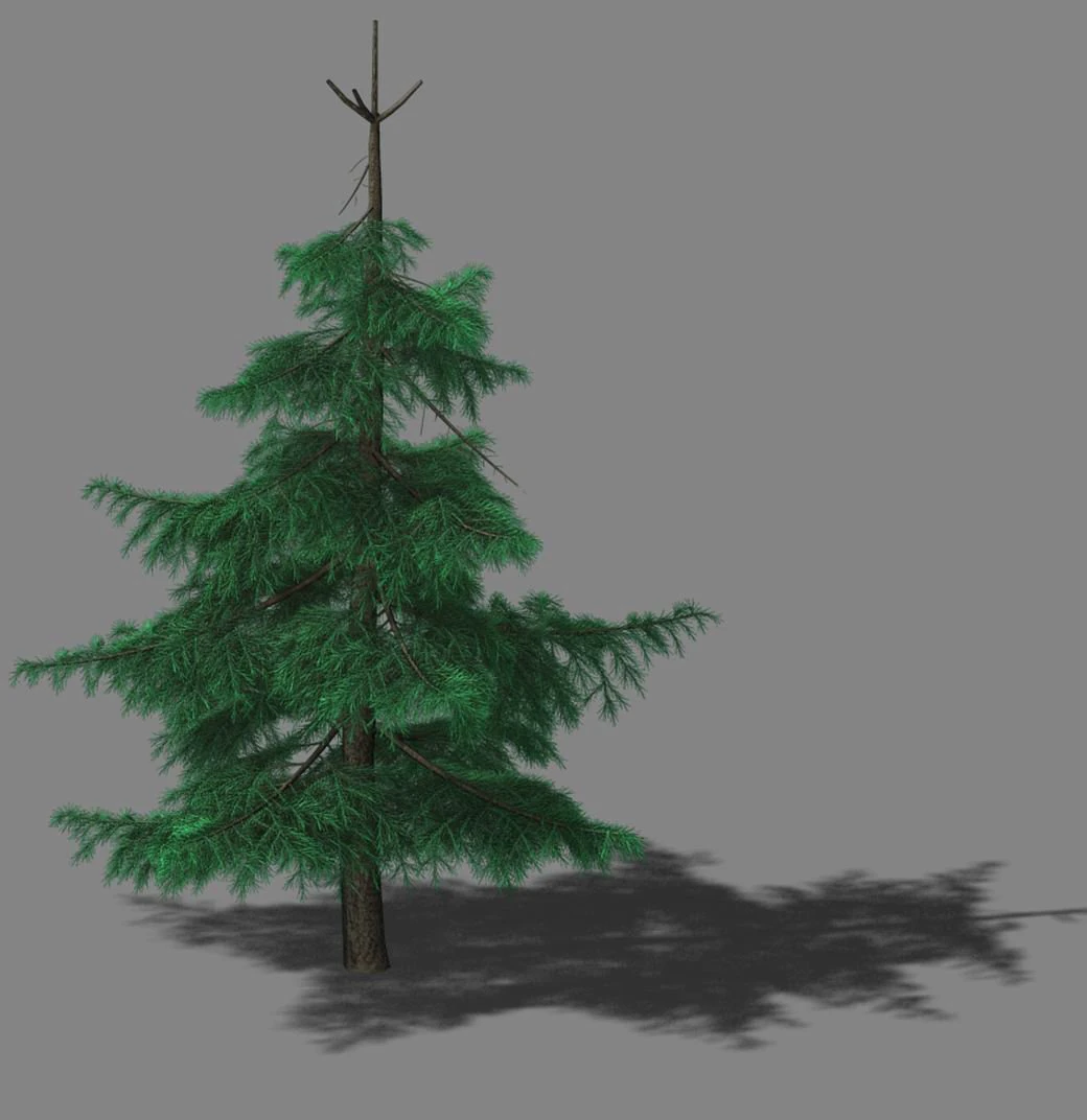 huashan - plant - pine 02 3D Model .c4d .max .obj .3ds .fbx .stl .blend