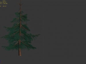 huashan - plant - pine 02 Model 3D