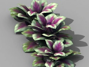 Huashan - Pflanzen - kleine Pflanzen 01 3D Modell