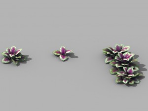 huashan - plants - small plants 01 3D 模型