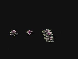 huashan - plants - small plants 01 3D 模型
