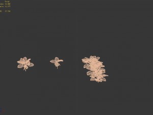 huashan - plants - small plants 01 3D 模型