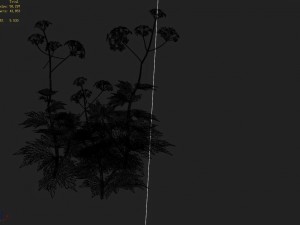 huashan - plants - wildflowers 02 3D Model