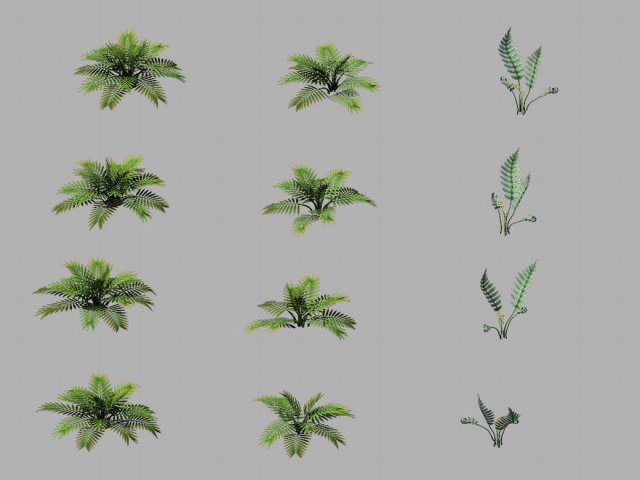 huashan - plants - weeds Model 3D .c4d .max .obj .3ds .fbx .stl .blend 