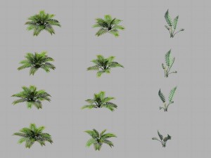 huashan - plants - weeds Modelo 3D