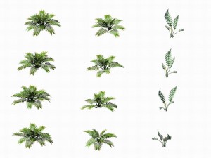 huashan - plants - weeds Model 3D