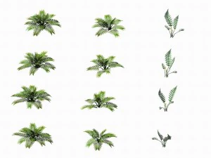 huashan - plants - weeds 3D Model