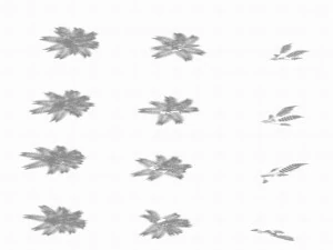 huashan - plants - weeds 3D Model