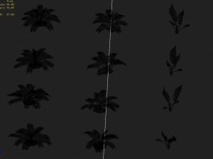 huashan - plants - weeds Model 3D