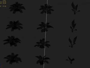 huashan - plants - weeds 3D Model