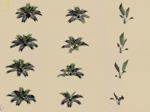 huashan - plants - weeds Model 3D