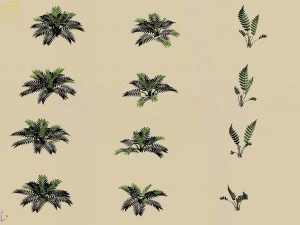huashan - plants - weeds 3D Model