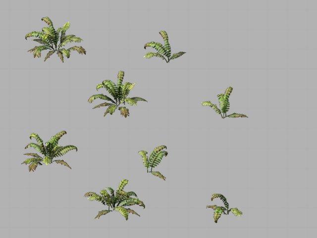 huashan - plants - weeds 02 Modello 3D .c4d .max .obj .3ds .fbx .stl .blend