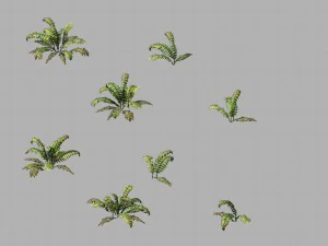 huashan - plantas - malezas 02 Modelo 3D
