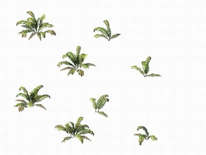 huashan - plants - weeds 02 Modello 3D