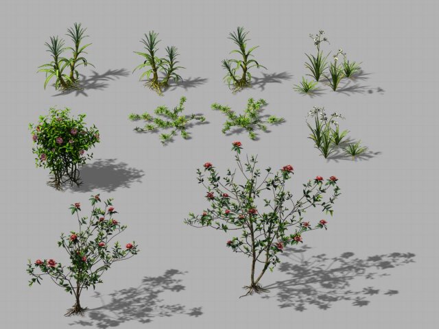 huangguoshu falls - small plants 01 3Dモデル .c4d .max .obj .3ds .fbx .stl .blend 