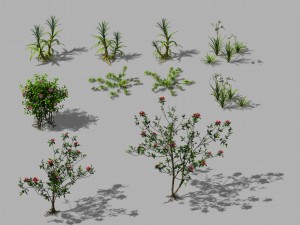 huangguoshu falls - small plants 01 3D Model