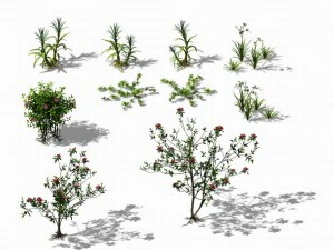 huangguoshu falls - small plants 01 3D Model