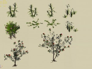 huangguoshu falls - small plants 01 3Dモデル