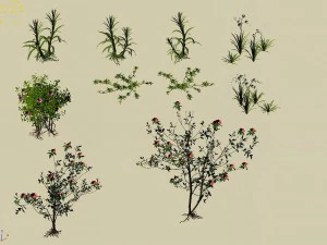 huangguoshu falls - small plants 01 3D Model