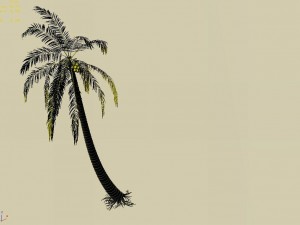huangguoshu waterfall - coconut tree 01 3D Model