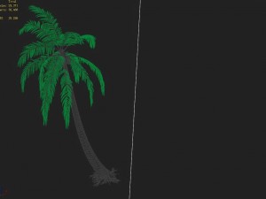 huangguoshu waterfall - coconut tree 01 3D Model