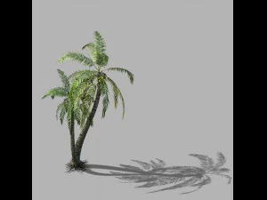 cascada huangguoshu - cocotero 02 Modelo 3D