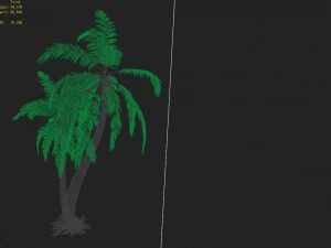 huangguoshu waterfall - coconut tree 02 3D Model