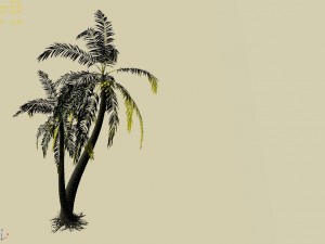 huangguoshu waterfall - coconut tree 02 3D 模型