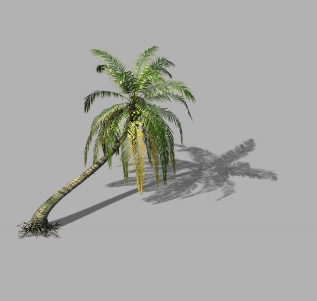 huangguoshu waterfall - coconut tree 03 3D मॉडल .c4d .max .obj .3ds .fbx .stl .blend 