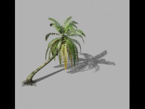 cascada huangguoshu - cocotero 03 Modelo 3D