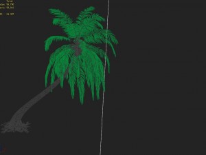 huangguoshu waterfall - coconut tree 03 3D मॉडल