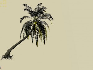 huangguoshu waterfall - coconut tree 03 3D मॉडल