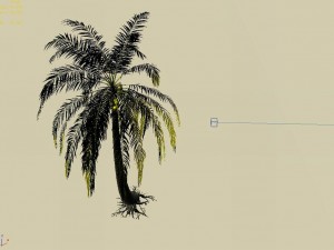 huangguoshu falls - coconut trees 04 Modello 3D
