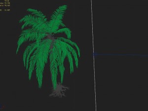 huangguoshu falls - coconut trees 04 Modello 3D