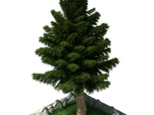 教会病院 - 装飾ツリー 02 3Dモデル