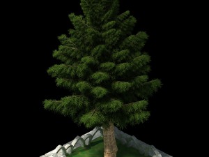 church hospital - decorative tree 02 3D मॉडल
