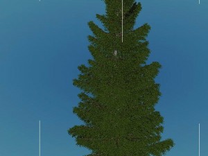 church hospital - decorative plants tasong 01 3D Model