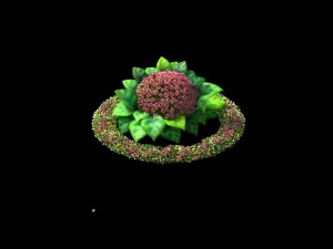 marriage - garden - flower 02 3D Model