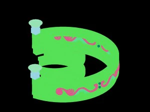 marriage - flower-02 3D Model