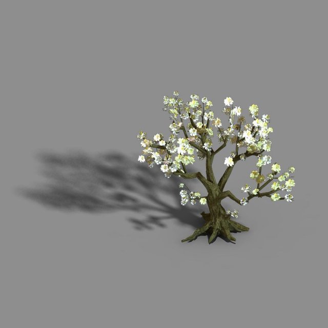 capital city - white tree 01 Modelo 3D .c4d .max .obj .3ds .fbx .stl .blend 