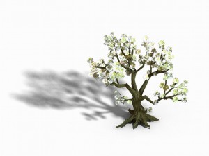 capital city - white tree 01 Modelo 3D
