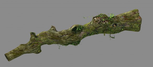 elven mountains - green algae - dead trees 01 3D Model .c4d .max .obj .3ds .fbx .stl .blend 