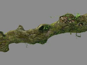 montagne degli elfi - alghe verdi - alberi morti 01 Modello 3D