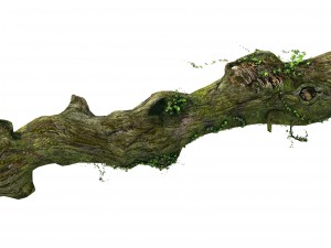elven mountains - green algae - dead trees 01 3D Model