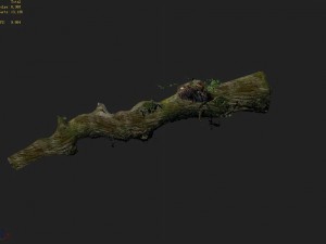 elven mountains - green algae - dead trees 01 3D Model